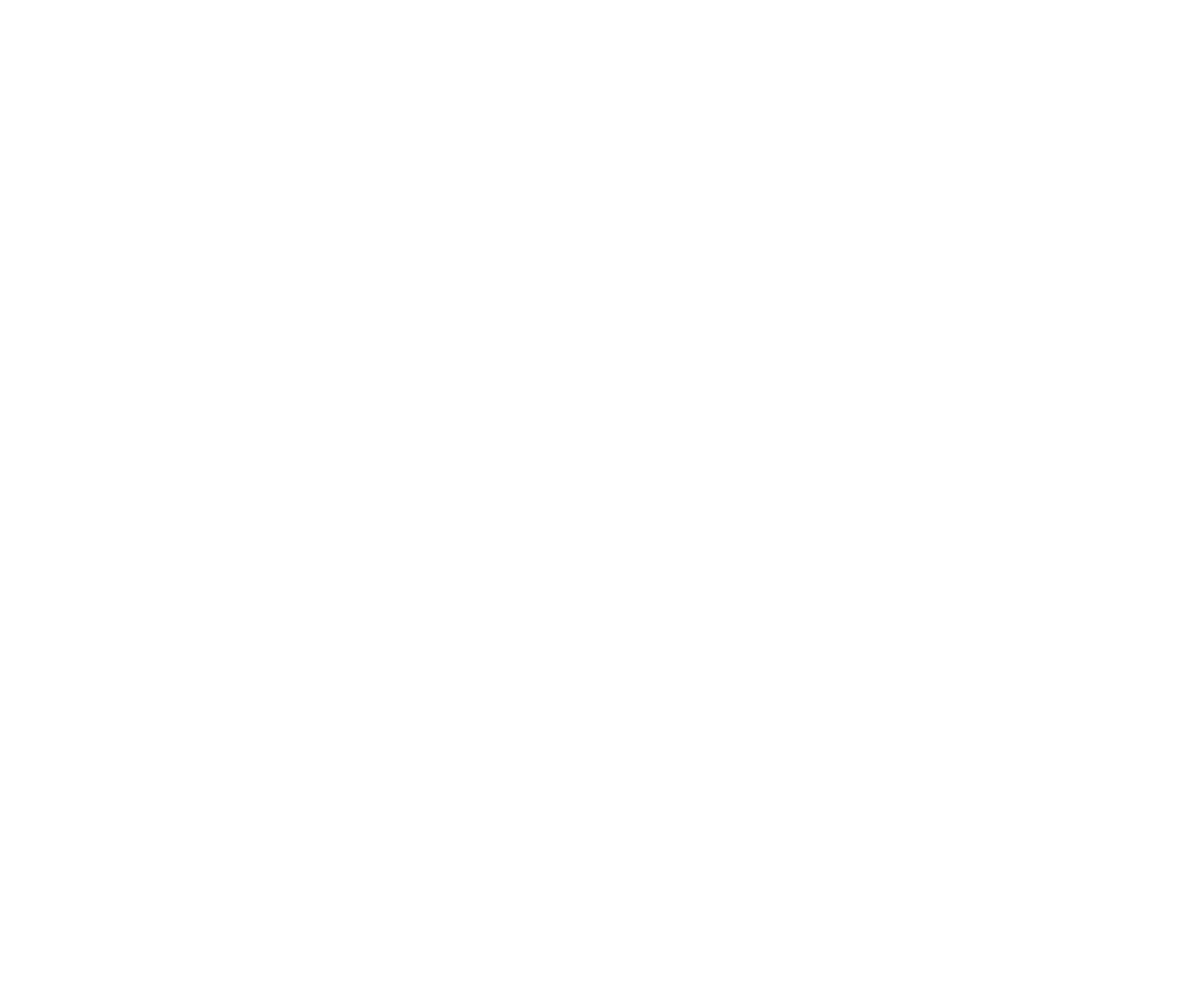 SILKY GLOSSY HAIR